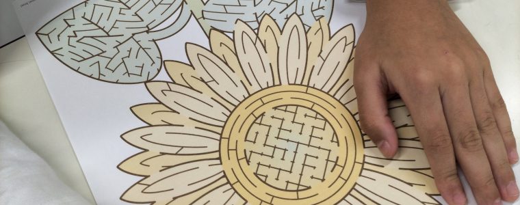 ビジョントレーニング