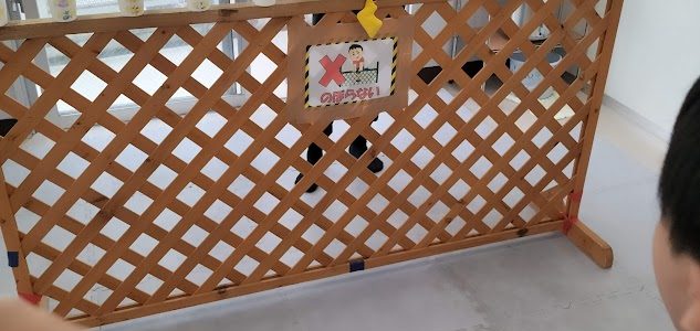 紙皿フリスビー