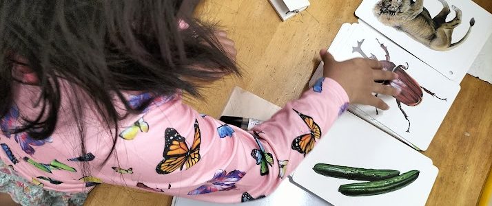 説明名人になろう！